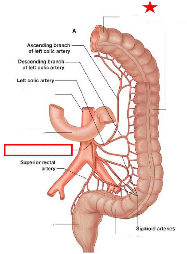 <p>Label the following diagram</p>