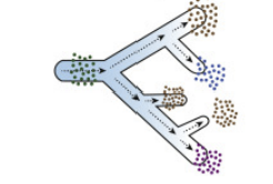 <p>Why multicellularity? (1/10)</p><p>Efficient utilization of … (2)</p>