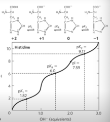 <p>above pK2</p>