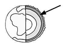 <p></p>