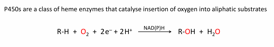 <p> Cytochrome P450 inserts an oxygen atom into the C–H bond of a substrate</p>