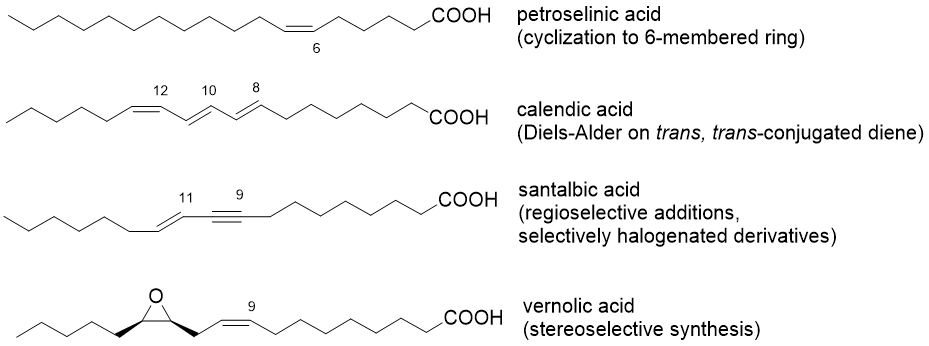 <p>= oils found in plants that weren’t considered before as a source of plant oils</p><ul><li><p>will become increasingly available via screening of natural organisms, selective breeding and genetic engineering</p></li></ul><p></p><ul><li><p>petroselenic acid</p><ul><li><p>only 1 double bond and position relative to COOH allows for cyclisation to 6-ring</p></li></ul></li><li><p>calendic acid</p><ul><li><p>trans double bonds can form diene for DA</p></li></ul></li><li><p>santalbic acid</p><ul><li><p>alkyne</p></li></ul></li><li><p>vernolic acid</p><ul><li><p>enantiomerically pure</p></li><li><p>contains epoxice</p></li></ul></li></ul><p></p><p></p>