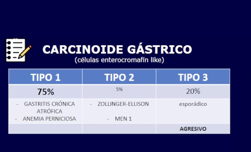 <p>TIPO 1: hiperplasia de células G. Tmb se asocia con pylori. Baja frecuencia de metástasis. <span style="color: red;"><strong>Hipergastrinemia</strong></span>—> antrectomia </p><p></p><p>TIPO 2: baja frecuencia de mtx. <span style="color: red;"><strong>Hipergastrinemia</strong></span>—> antrectomia </p><p></p><p>TIPO 3: no produce manifestaciones neuroendocrinas ya que <strong><u>no existe aumento de gastrina y lo sintomas típicos son de un tumor de gran malignidad</u></strong></p>