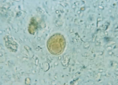 <p><span style="background-color: rgba(0, 0, 0, 0); line-height: 19.7625px;">What is the species in this photo and WHY?</span></p>