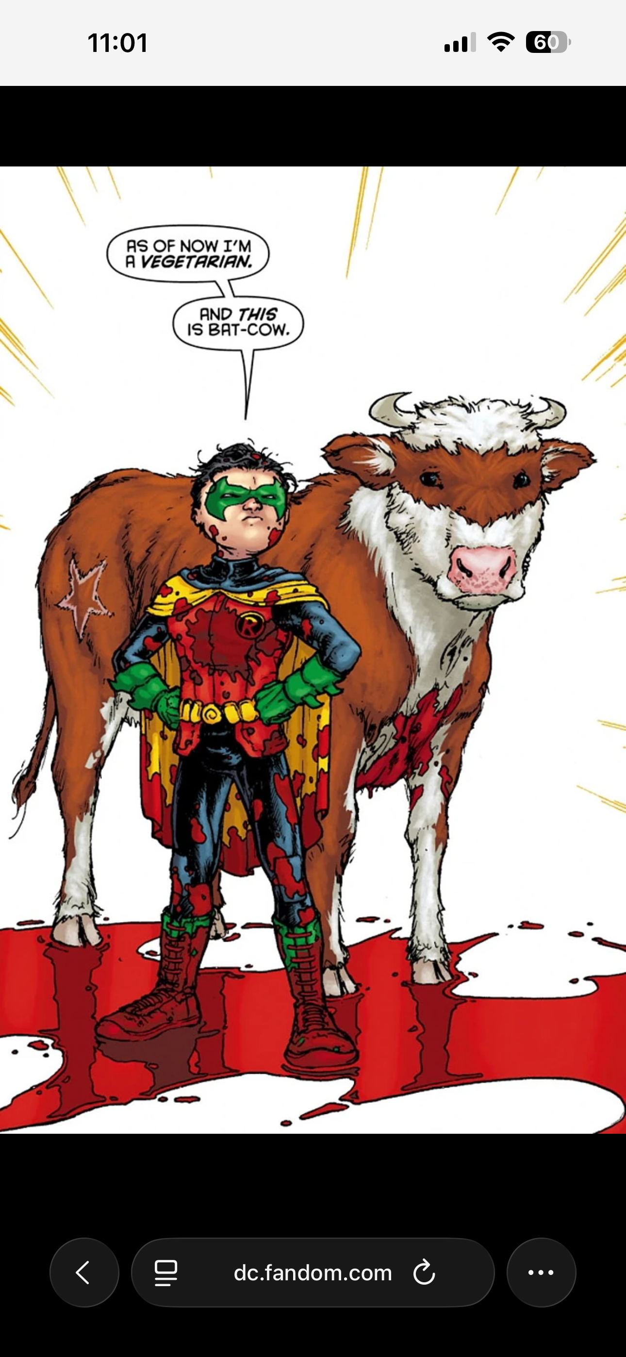 <p>Batcow </p>