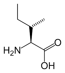 <p>Isoleucine</p><p>1 Letter: L</p><p>3 Letters: lle</p><p>Non-Polar</p>