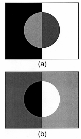 <p>what constraints are violated in image (a) and image (b)</p>