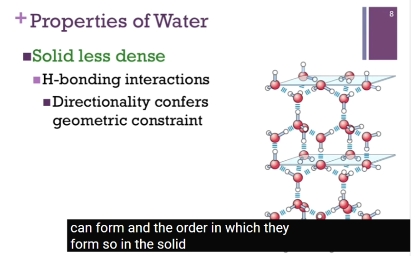 <p><span style="background-color: transparent;"><strong>BECAUSE of the hydrogen bonding interactions of water, it also means that water in the solid is less dense than the liquids</strong>. RECALL when form hydrogen bonds, we want that linear arrangement (STRONGEST!), so there’s a geometric constraint on how many we can form AND the order in which they form! IN solid, we have a very CAGELIKE structure, very porous molecule.&nbsp;</span></p><p><br><span style="background-color: transparent;">confers&nbsp; = gives.&nbsp;</span></p><p><span style="background-color: transparent;">Water solid EXPANDS when solidifies. LESS dense, why ice floats in beverages.&nbsp;</span></p>