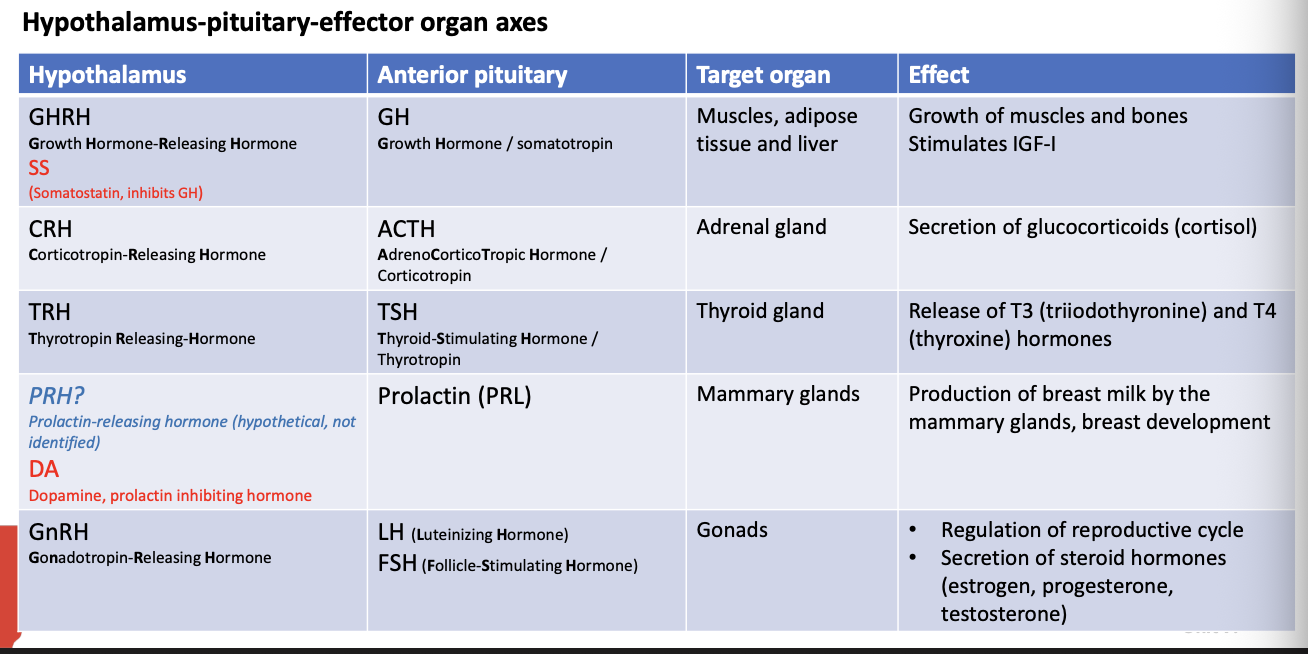 <p>hypothalamic hormones control the secretion of anterior pituitary hormones that control the secretion of hormones from the peripheral endocrine organs </p>