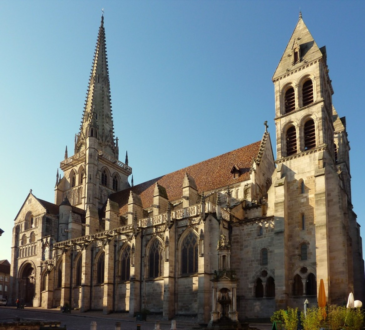term image