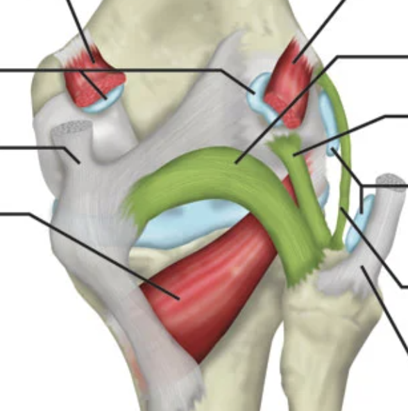 <p>(left green highlight)</p>