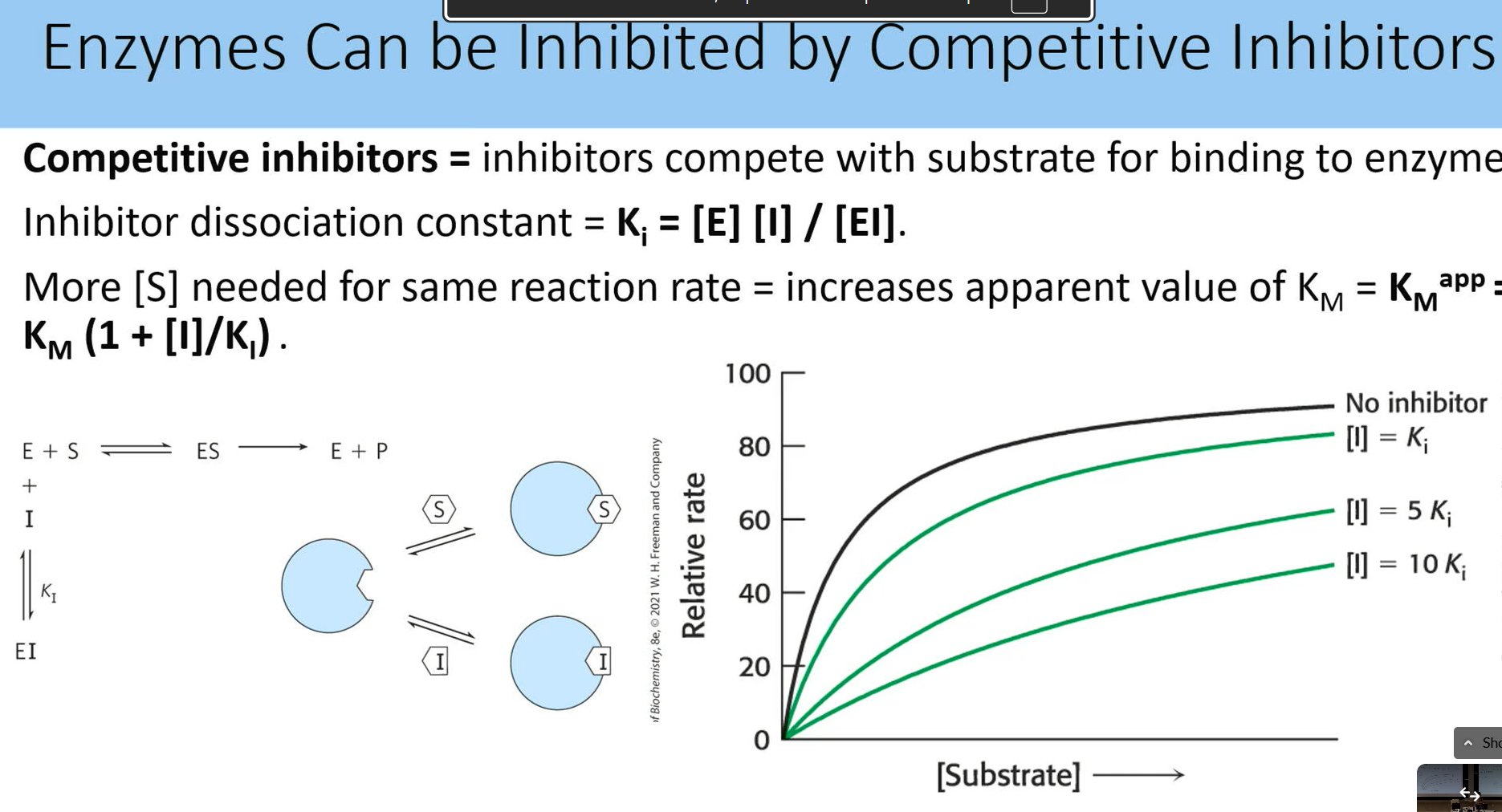 <ul><li><p><strong>comp inhib</strong> bind to substrate active site forming an EI </p></li><li><p>dissociation is on free enzyme ki = [e][i]/[ei]</p></li><li><p>can help with blocking protein function, building good drug targets</p></li><li><p>more [s] needed for same reaction rate = increases apparent value of km, so half v max is being altered because curve is changing shape</p></li></ul><p></p>