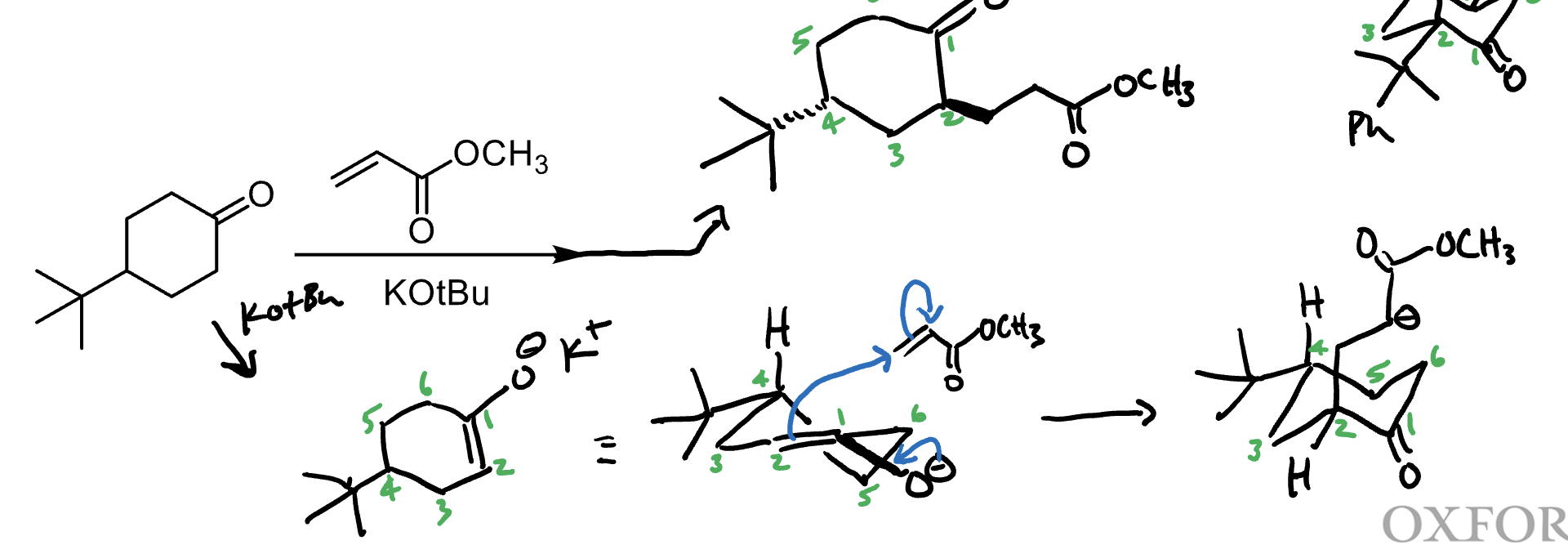 knowt flashcard image