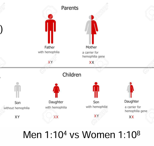 <ol><li><p>Hemofilia</p></li><li><p>Deficiencia de vitamina K</p></li><li><p>Trombocitopenia</p></li></ol><p></p>