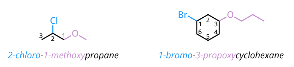 <ul><li><p>prefix “-alkoxy-”</p></li></ul><p></p>
