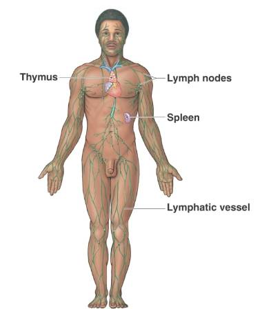 <p>What system?</p>