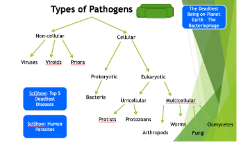 <p><span style="background-color: white; font-family: Aptos, sans-serif;">can be </span></p><p><span style="background-color: white; font-family: Aptos, sans-serif;">Cellular pathogens = made of cells (e.g. bacteria, parasites, fungi, worms)</span></p><p><span style="background-color: white; font-family: Aptos, sans-serif;">or </span></p><p><span style="background-color: white; font-family: Aptos, sans-serif;">Non-cellular pathogens = lack cells (e.g. viruses, viroids, prions)</span></p><p><span style="font-family: Aptos, sans-serif;">Pathogens are sources of non-self-antigens.</span></p>