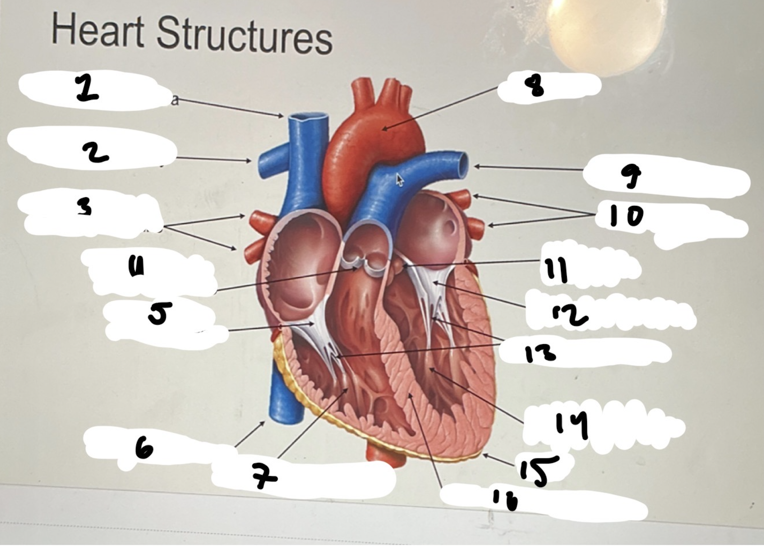 <p>1.XX</p><p>2.XX</p><p>3.XX</p><p>4.XX</p><p>5.XX</p><p>6.XX</p><p>7.XX</p><p>8.XX</p><p>9.XX</p><p>10.XX</p><p>11.XX</p><p>12.XX</p><p>13.XX</p><p>14.XX</p><p>15.XX</p><p>16.XX</p>