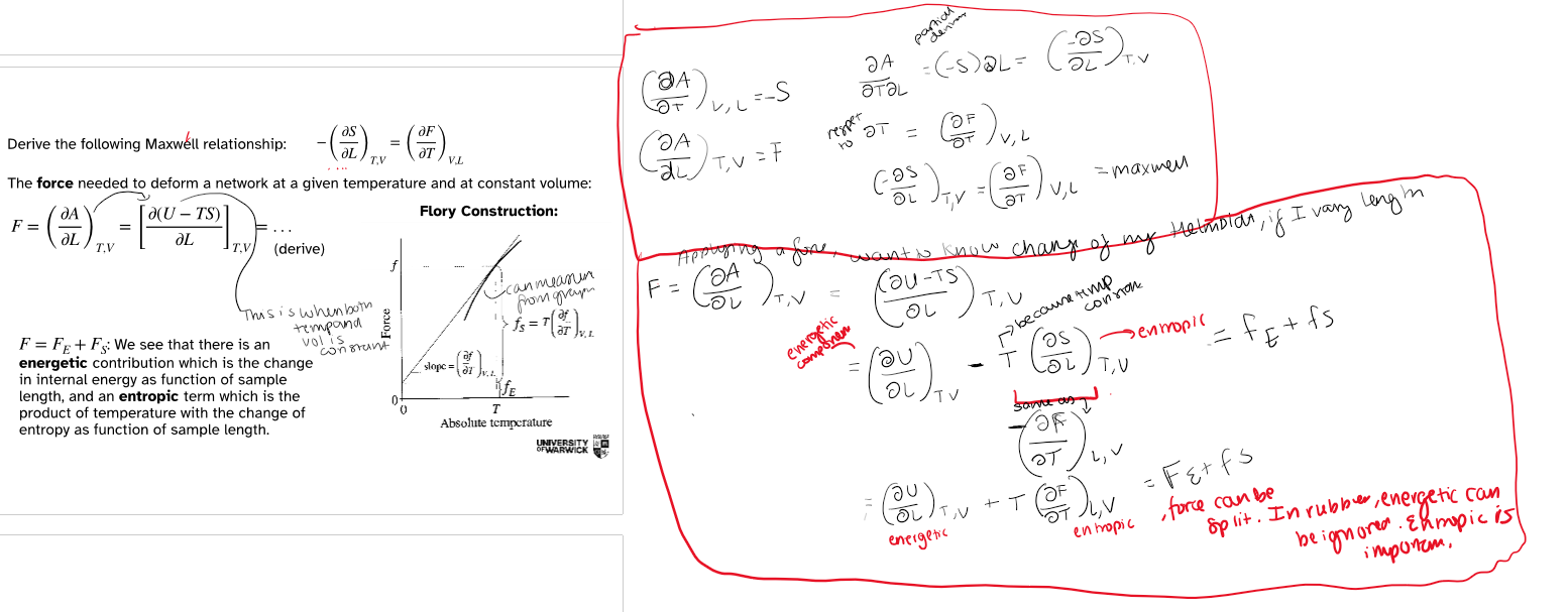 <p>What does the Flory construction graph show?</p>