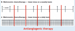 <p>Added between metronomic chemotherapy doses to target tumor vasculature</p>