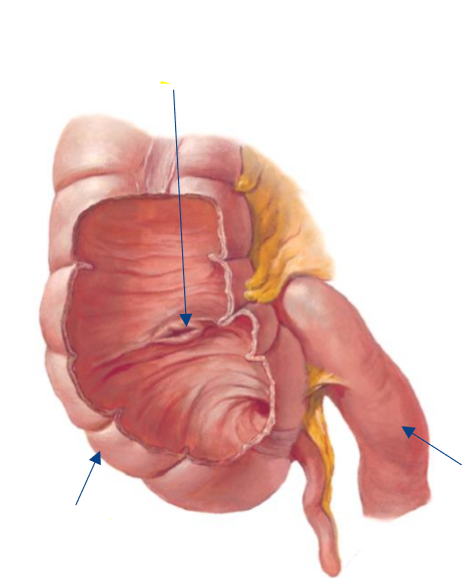 <p>Label the following diagram</p>