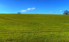 <p>an area of land used for growing crops or keeping animals</p>