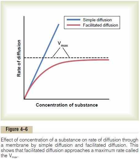 <p>Can you explain this graph?</p>