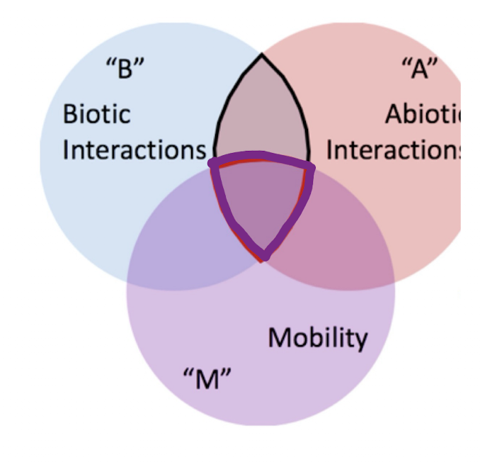 <ul><li><p>Areas of potential realized niche that organism has had access to </p><ul><li><p>was able to move or migrate throughout history to get there</p></li></ul></li></ul><p></p>