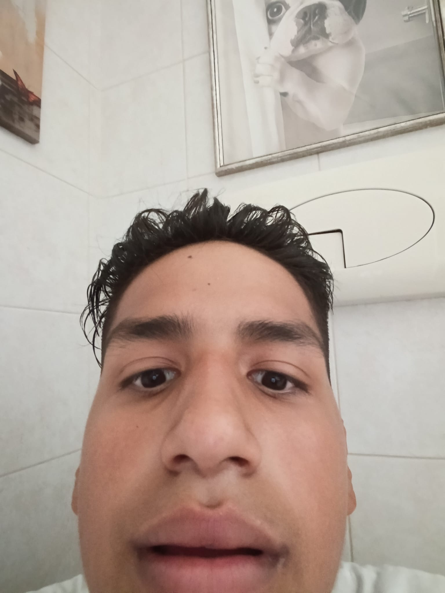 term image