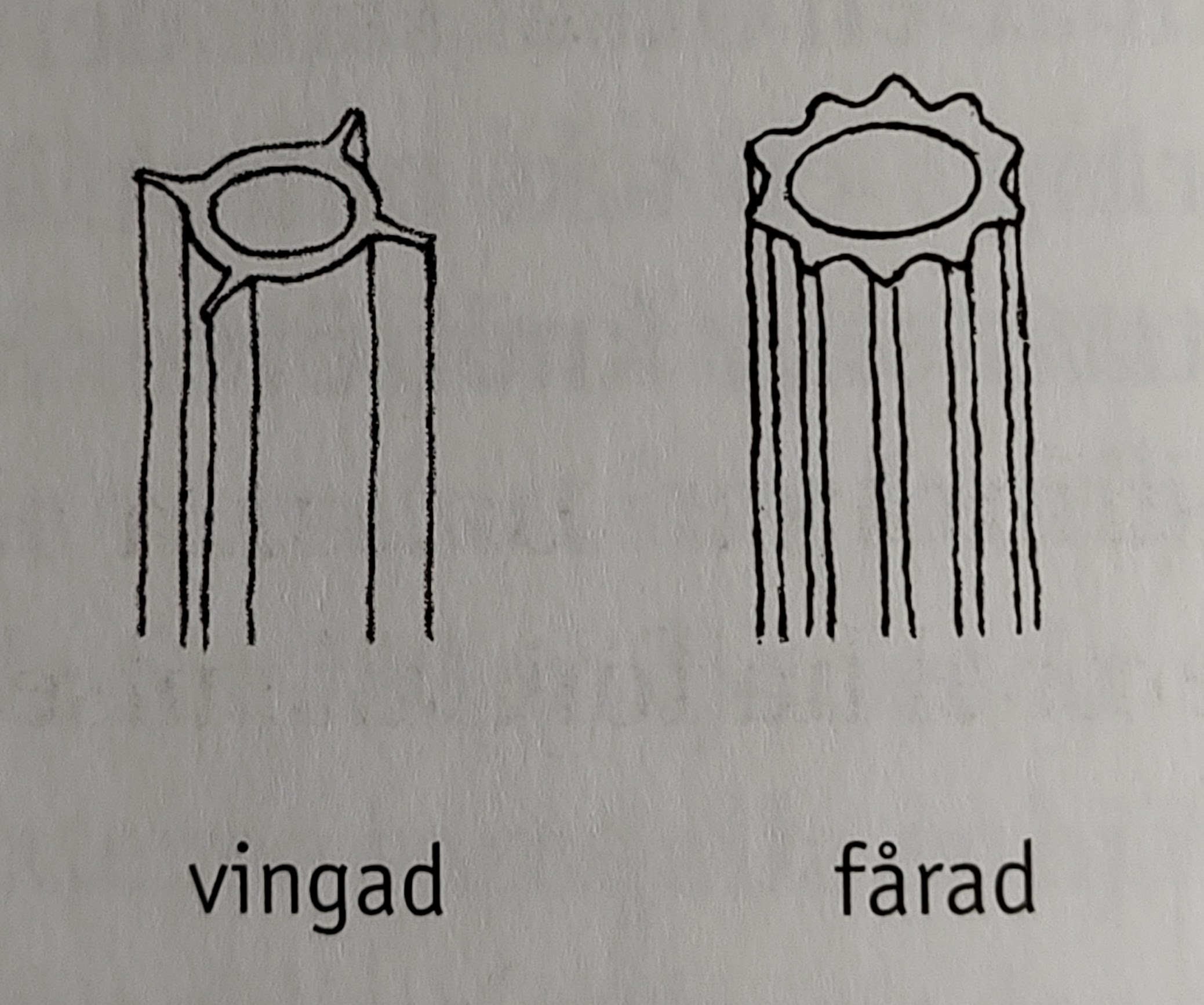 <p></p>