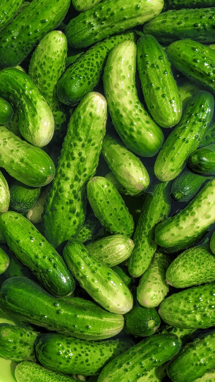 <p>Cucumber ( кьюкамбер)</p>