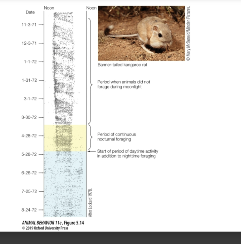 <p>explain this </p>