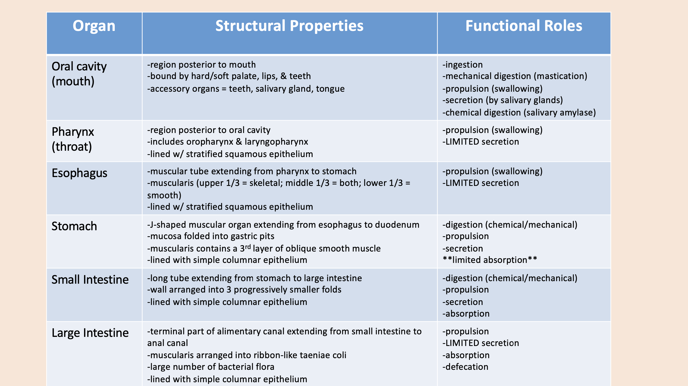 <p><span>oral cavity</span></p>