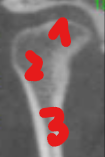 <p>wat is dit</p>