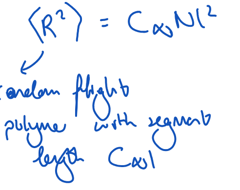 <ul><li><p>Tells you how much larger a real polymer coil is compared to the random flight polymer. Typically 5-10.</p></li><li><p>C<span style="background-color: inherit;">∞l = distance it takes for the polymer to forget its original direction (correlation length).</span></p></li></ul><p></p>