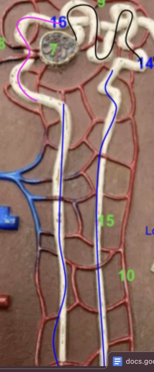 <p>what is the color of each </p>