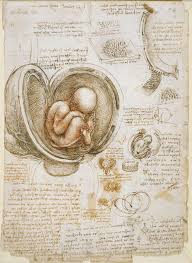 <p>Studies of the fetus in the womb</p>