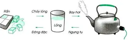 <p>(a) biến đổi, thay đổi (những thứ có thể thay đổi hoặc biến động, thường dùng trong các tình huống khoa học hoặc kĩ thuật)</p>