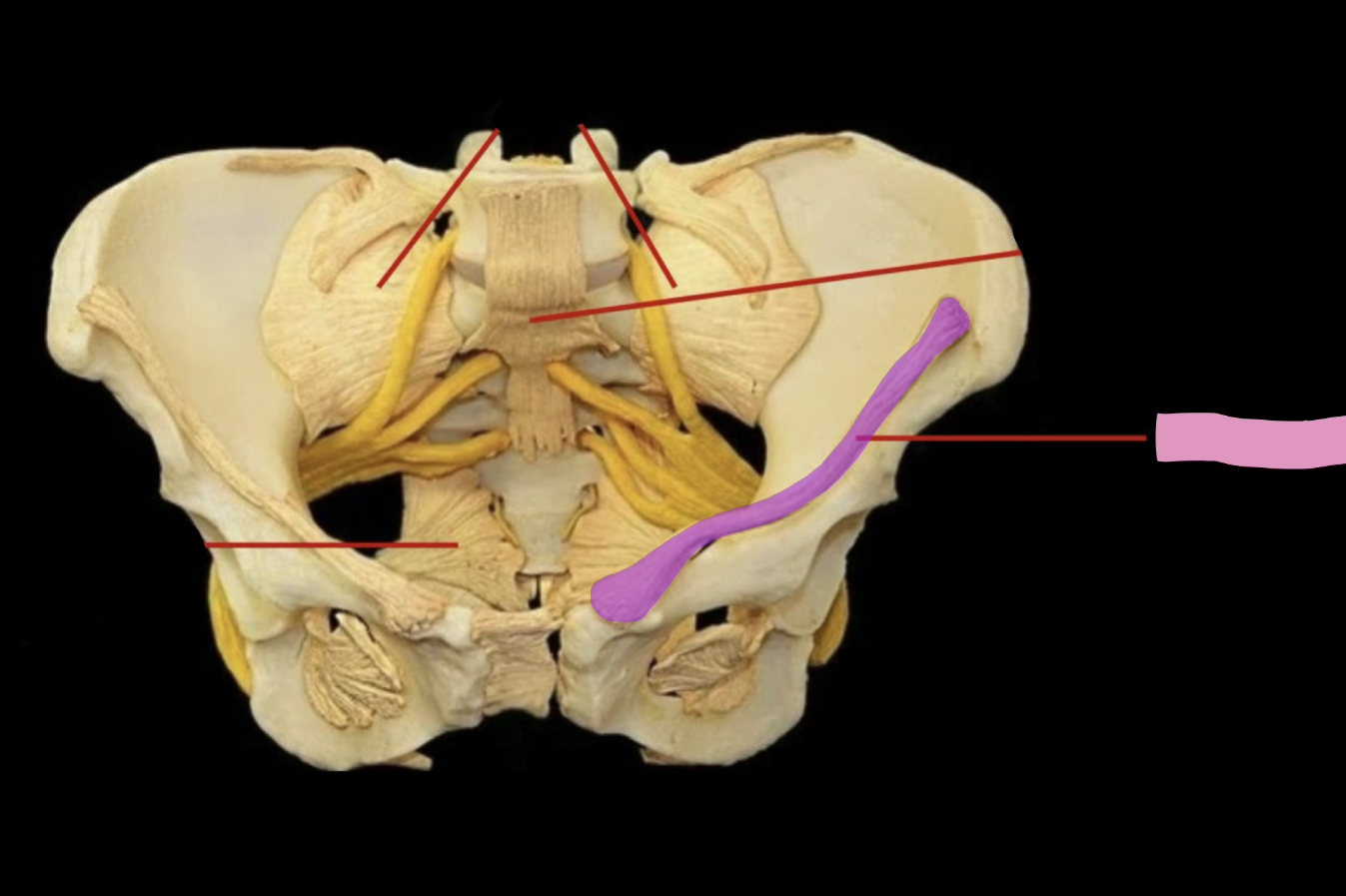 <p>what is this </p>