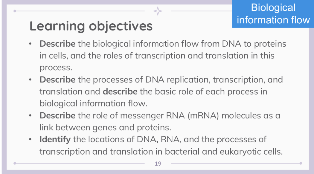 <p>BIOLOGICAL INFORMATION FLOW</p>