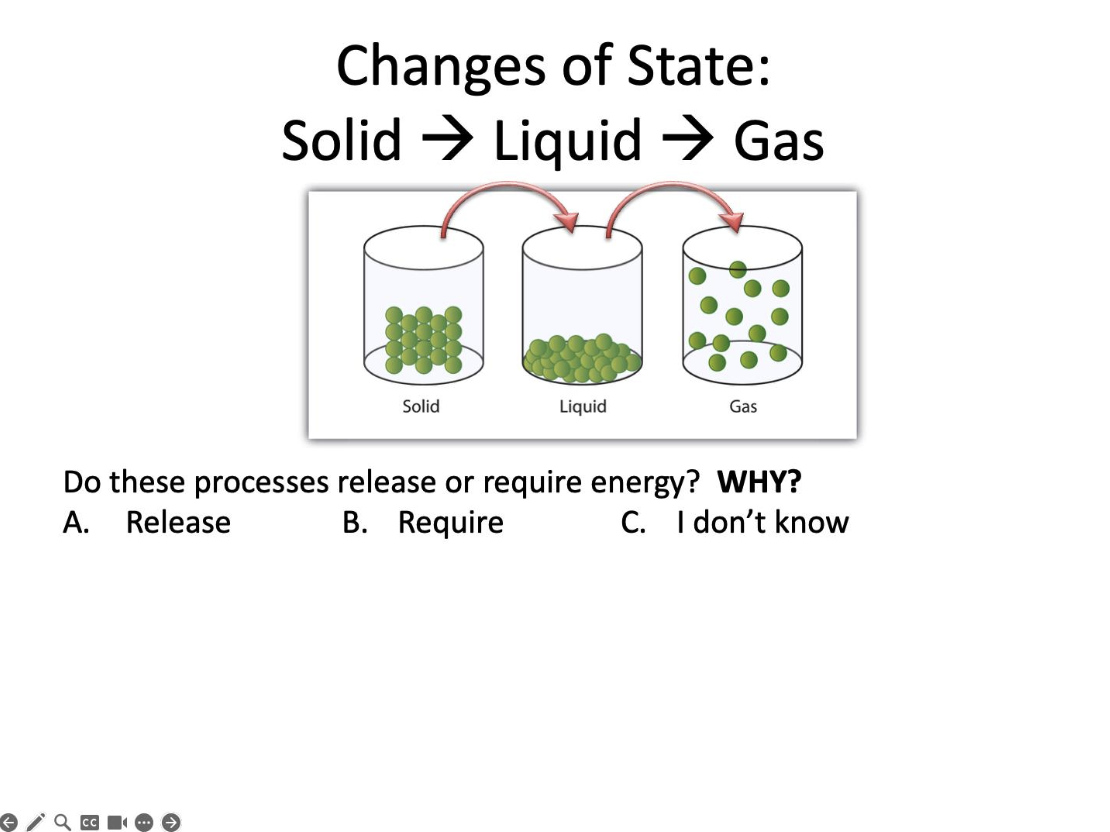 <p>Do these processes release or require energy?</p>