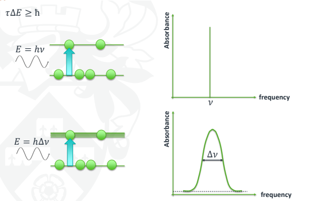 <p>Caused by the lifetime of the energy states, the excited states decay over time via a first-order decay process.</p><ul><li><p>A short lifetime gives a broader bandwidth.</p></li><li><p>A higher frequency also gives broader lines.</p></li></ul><p></p>