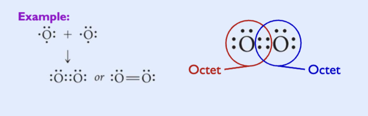 <p>two atoms share two pairs of electrons</p><p>two bonding pairs, four electrons</p><p>generally, double bonds are shorter and stronger than single bonds</p>