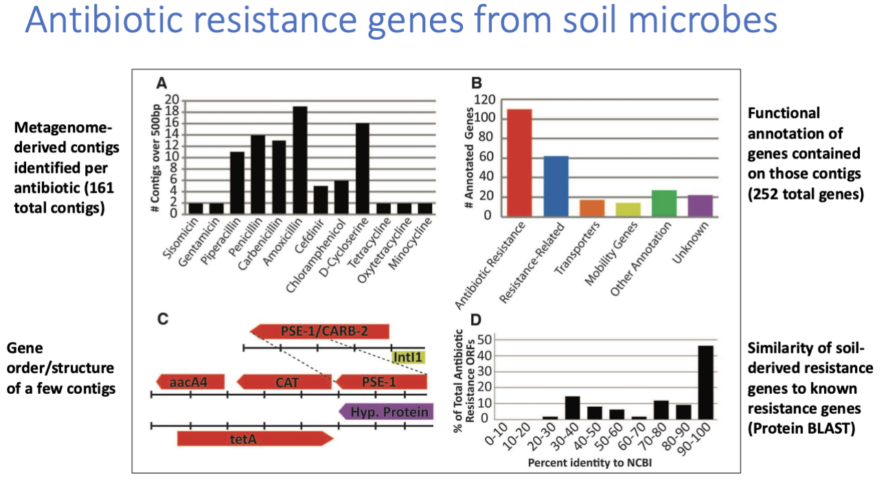 <p>q: Have pathogens and soil bacteria recently exchanged resistance genes (if yes then sequences should be similar)</p><p>approach: func metagenomic using DNA soil from microbes</p><p></p><p>found that some resistance genes from soil were 100% identical at nucleotide level to genes from pathogens</p><ul><li><p>evidence of HGT of resistance genes between soil bacteria / pathogens found</p></li></ul><p></p>