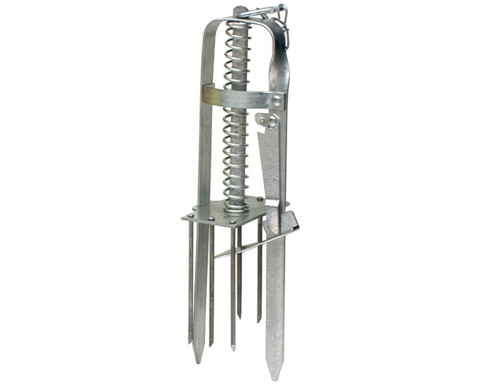 <p>This kill trap is used for burrows and dens</p>