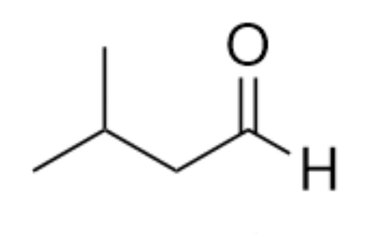 <p>What is the name of the organic functional group present in this molecule?</p>