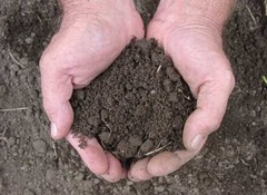 <p>Plant supporting mixture made up of sediment, remains and wastes of organisms, water, and air; ecosystem</p>