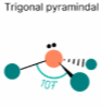 <p>107 degrees between bonds, 1 lone pair in central atom.</p>