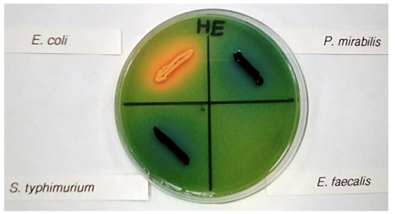 <p>what’s this?</p>