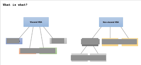 <p>HSA</p>